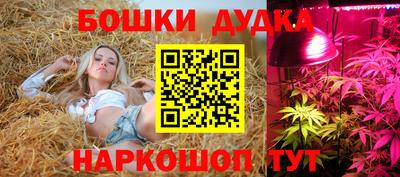 амф Будённовск