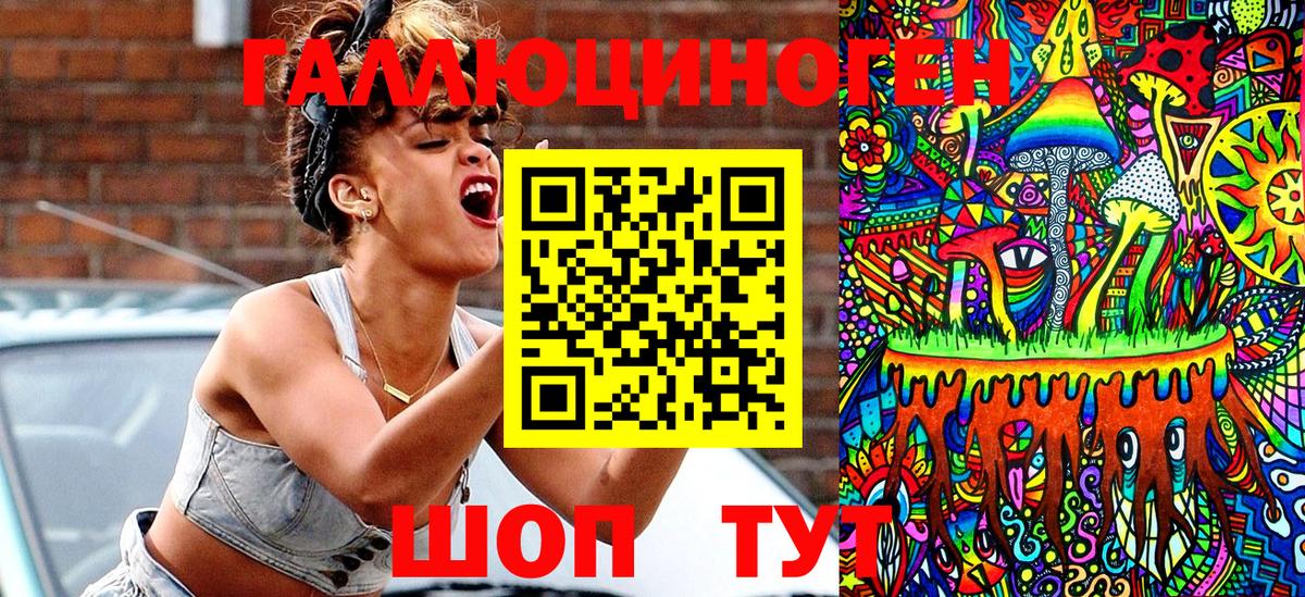Псилоцибиновые грибы Psilocybine cubensis Пятигорск