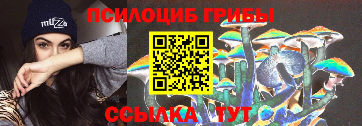 Псилоцибиновые грибы прущие грибы  Галлюциногенные грибы ЛСД  Пятигорск  Вход с VPN 